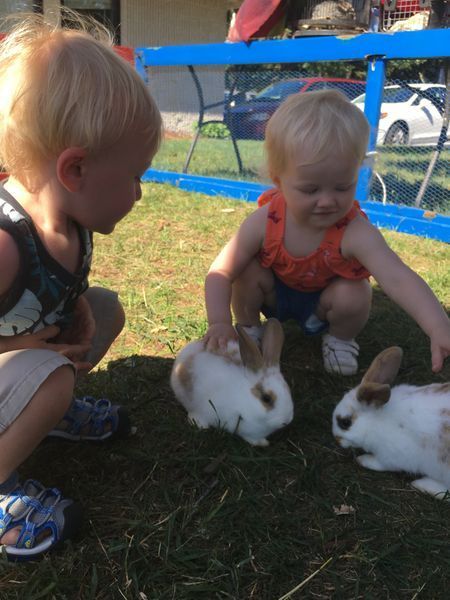 Little Bee's Child Care Center