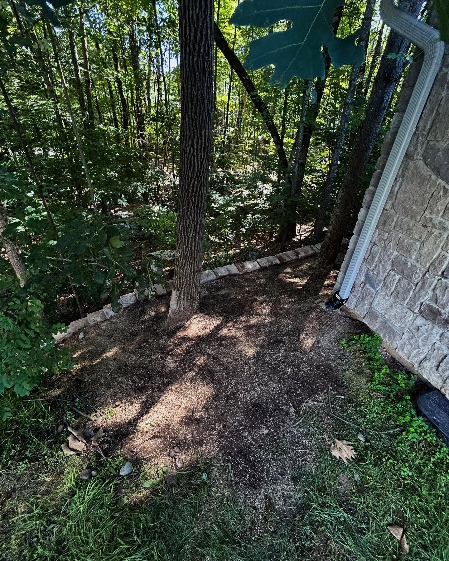 Dirt patch near trees and a building with a gutter in a wooded area.