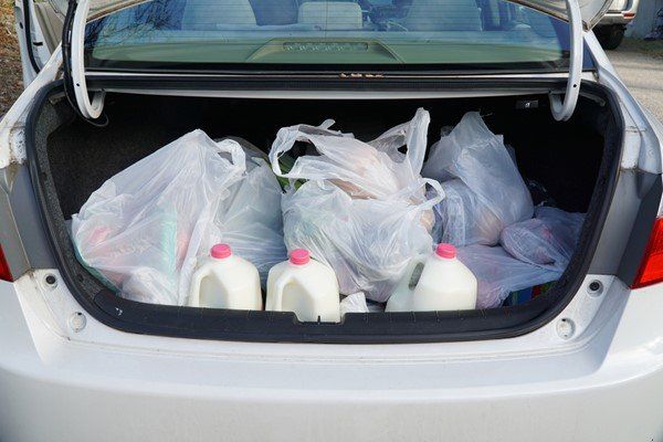 Recycle Bag In A Car | Sarasota, FL | Mapp Realty & Investment Co