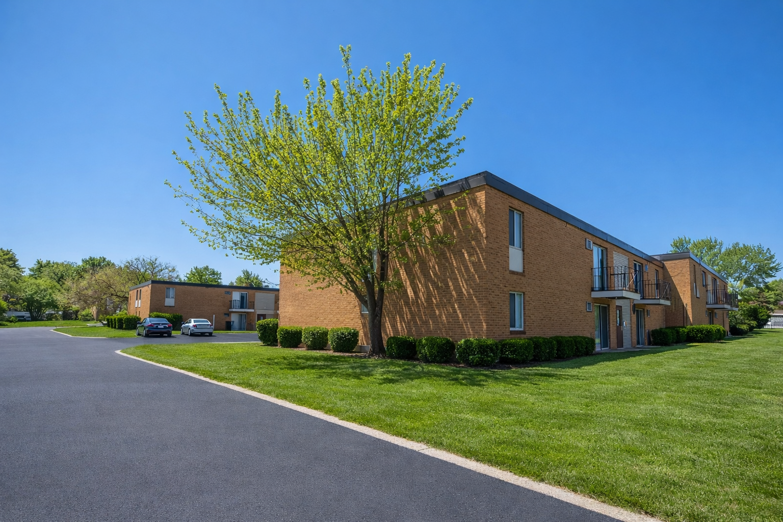 Brick apartment buildings under a clear blue sky, with a green tree in the foreground and a curved asphalt driveway.