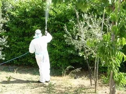 disinfestazione reggio calabria