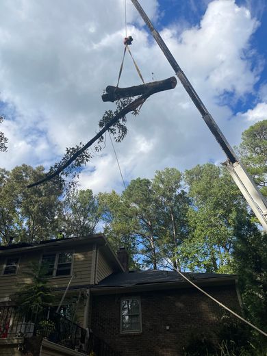 A crane is lifting a tree branch over a house.
