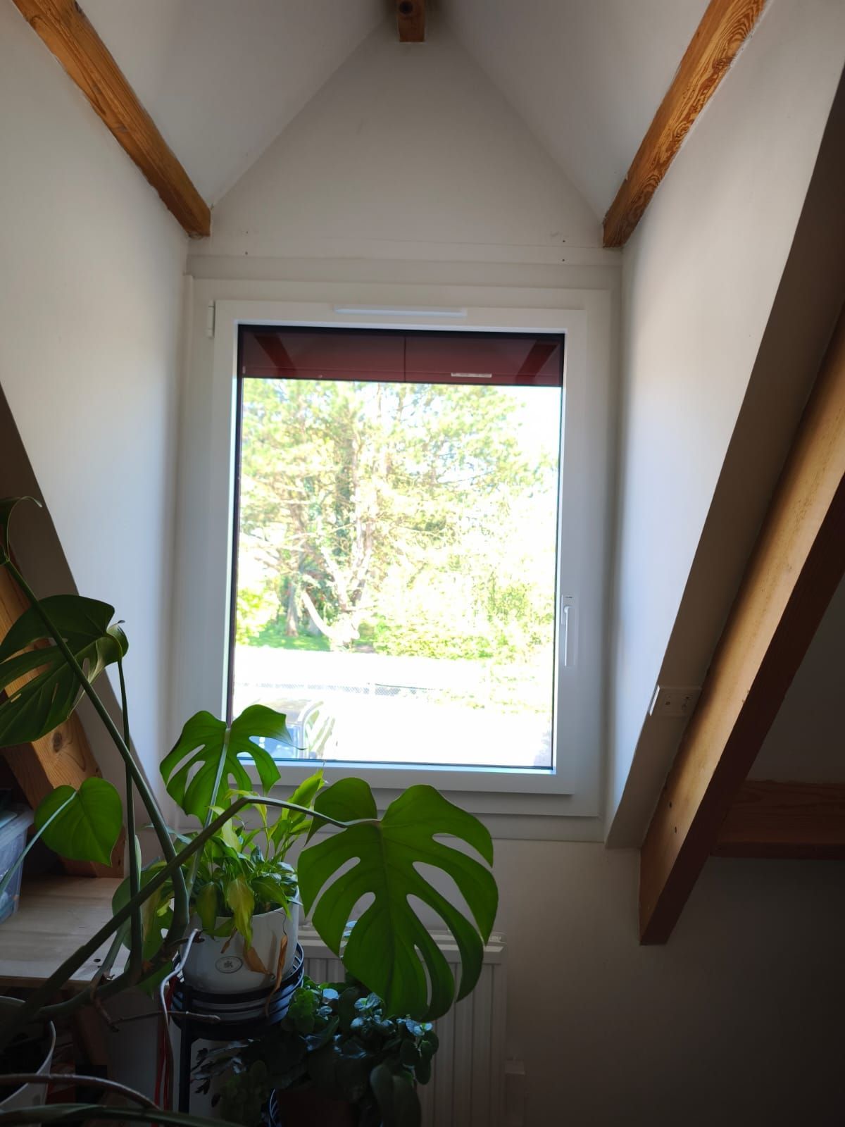 Une fenêtre dans une pièce avec une plante devant