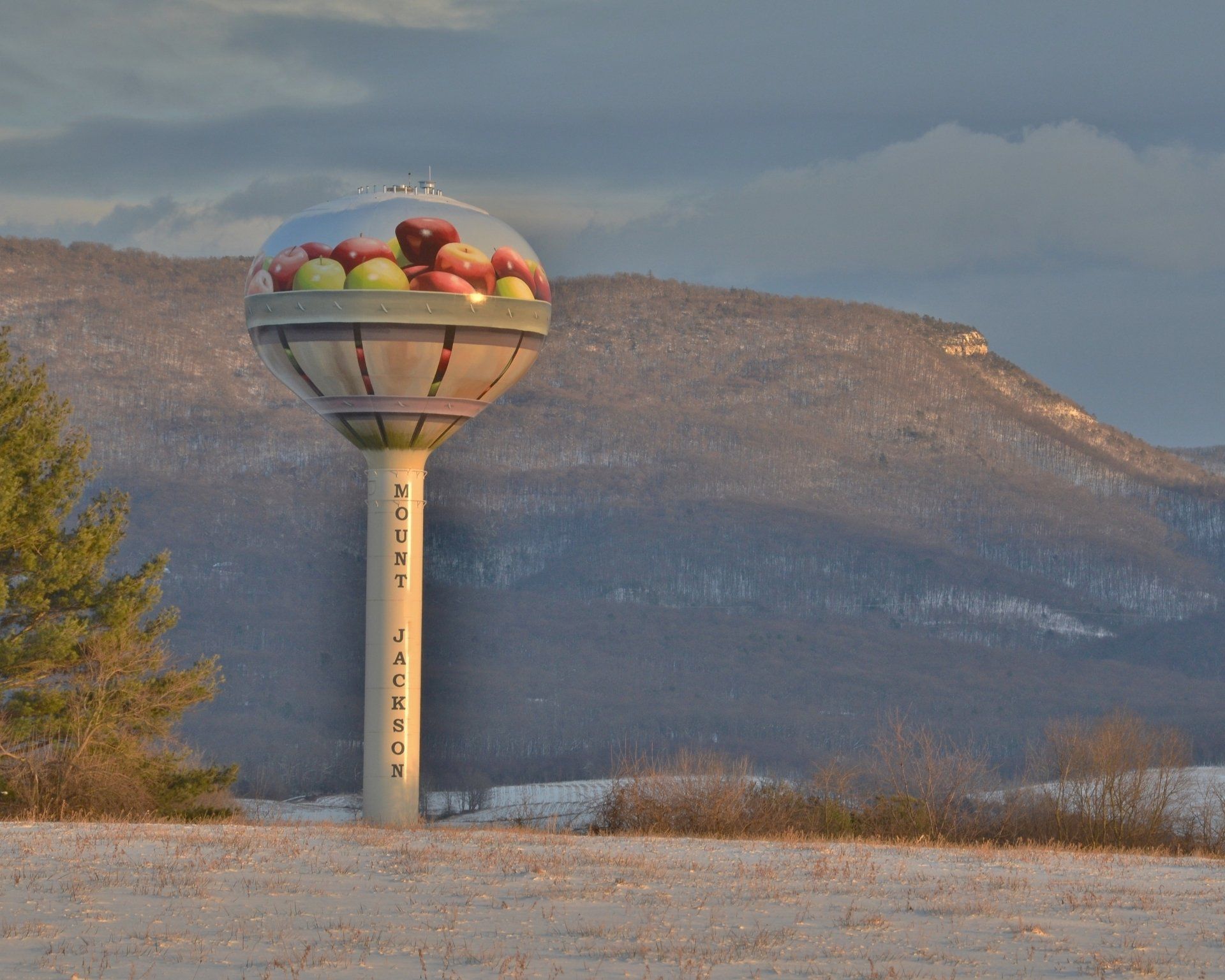 Mount Jackson Virginia Water Tower Art, American Silo Art