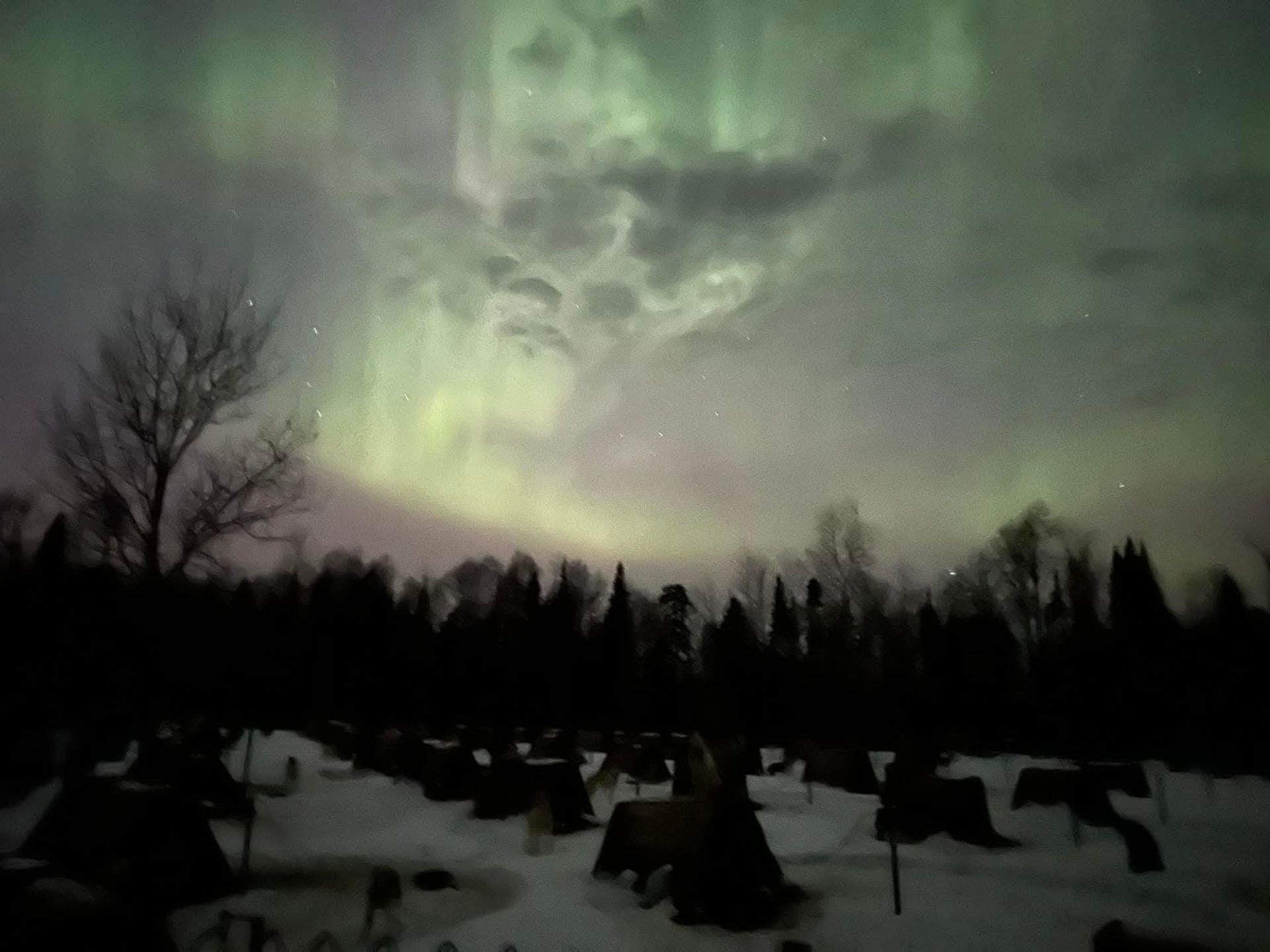Aurora borealis over snow-covered trees and campsite; green and pink hues in the night sky.