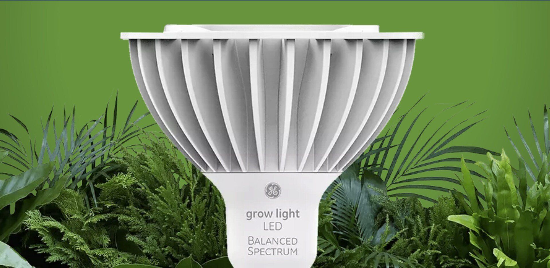 A white light bulb is sitting in front of a green background surrounded by plants.