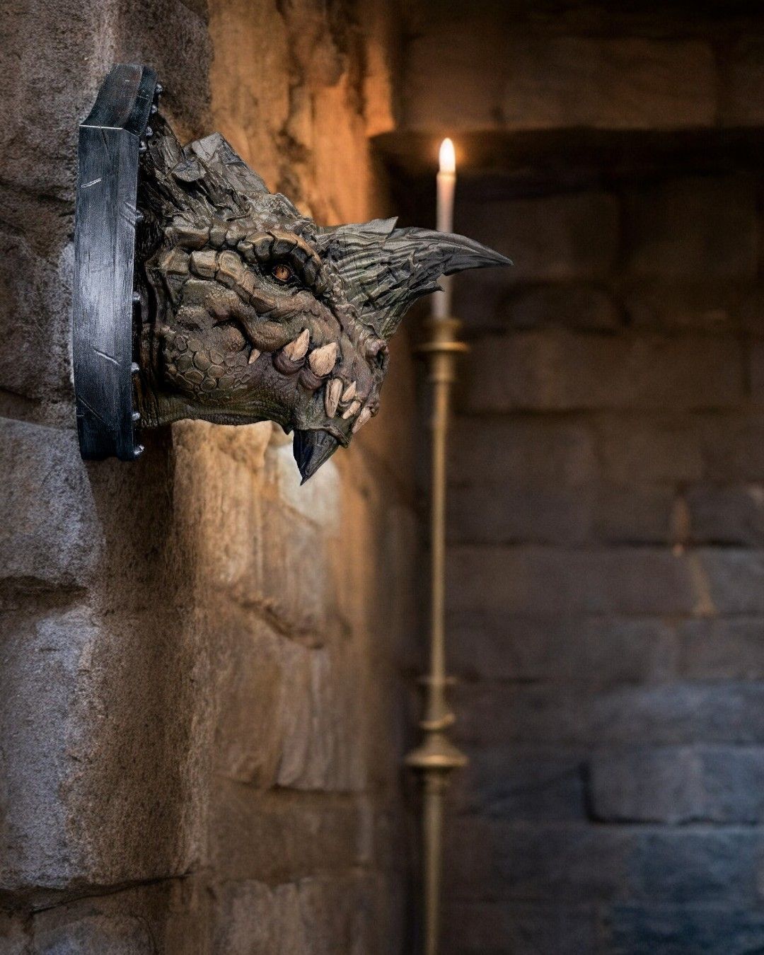 A shield with a skull on it is hanging on a stone wall next to a candle.