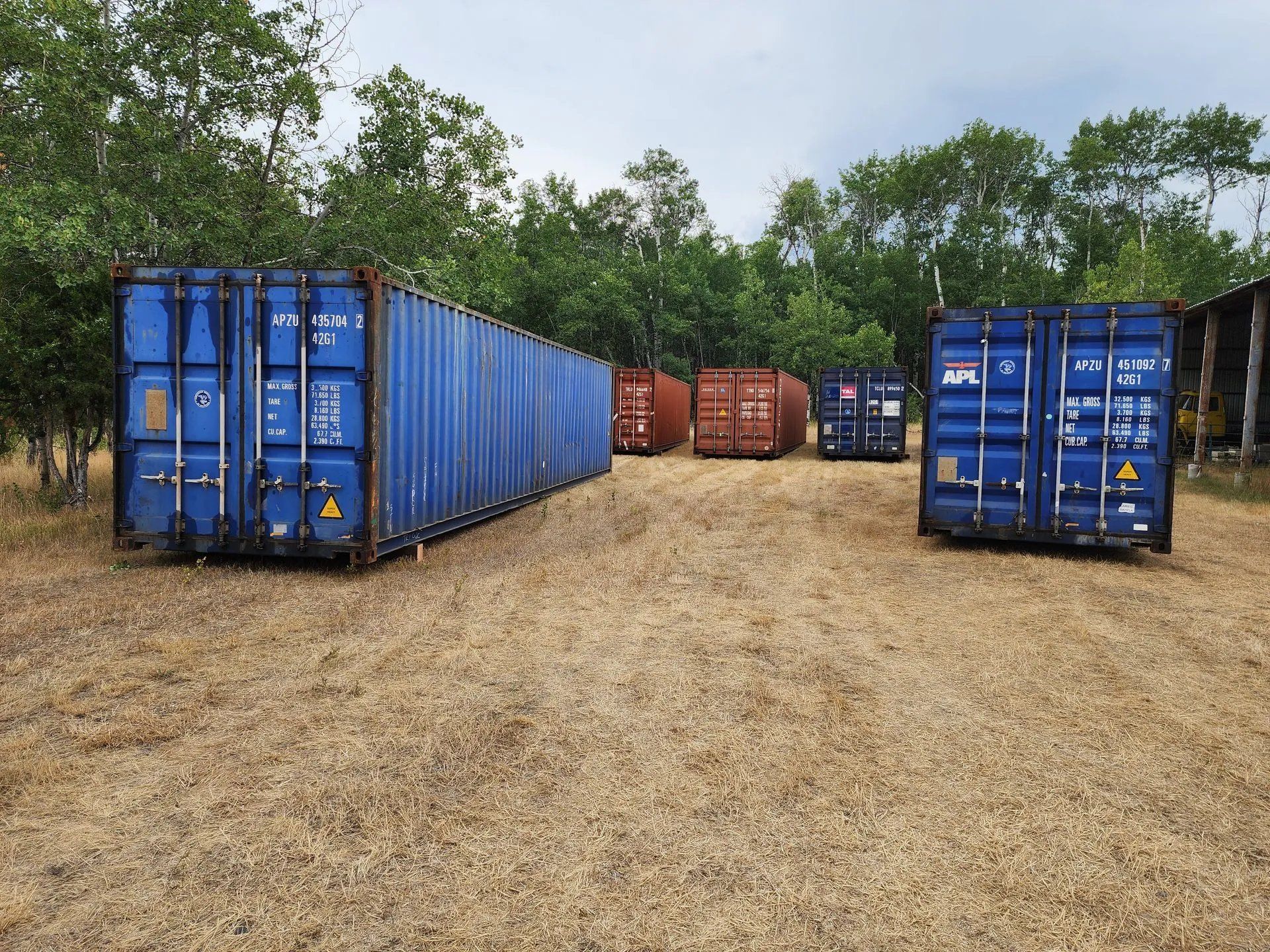 Blue and brown shipping containers on dry, grassy ground, surrounded by trees.