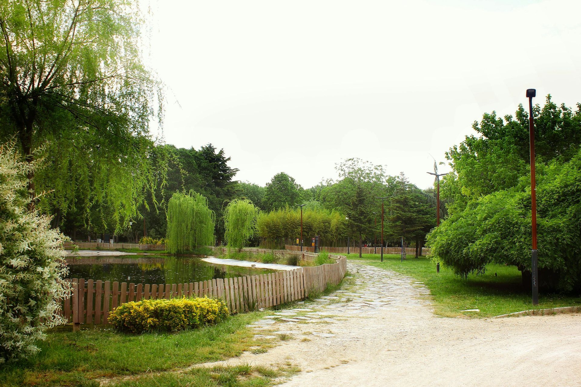 A dirt road going through a park with trees and a pond.