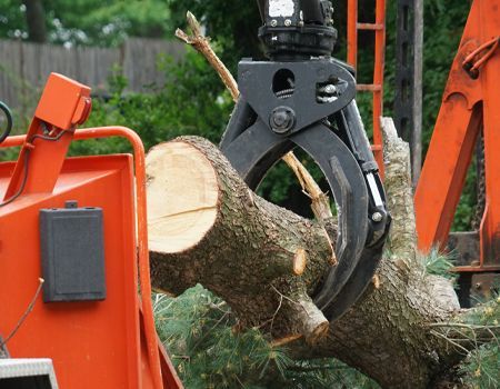 A large piece of wood is being lifted by a crane.