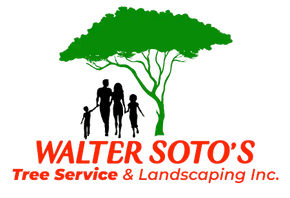 A logo for walter soto 's tree service and landscaping inc.