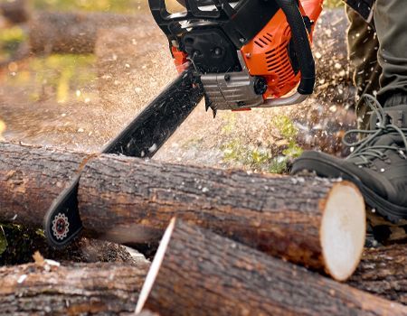 A person is cutting a log with a chainsaw.