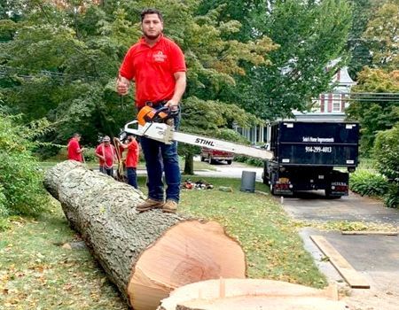A man is standing on a large log holding a chainsaw.