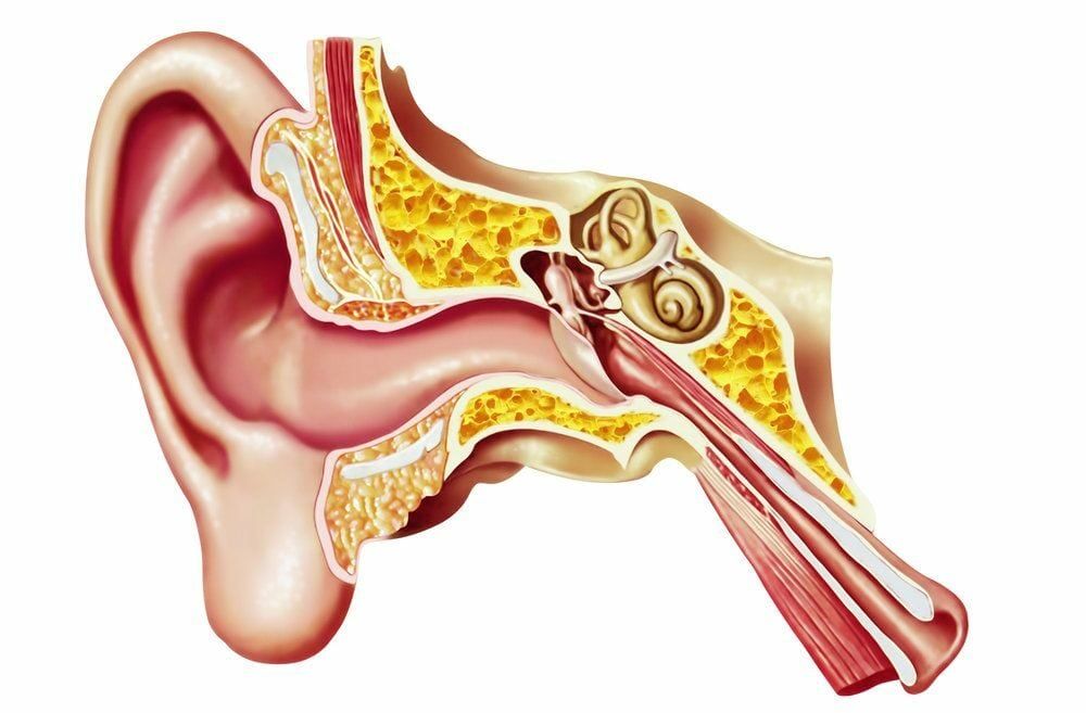 Is Vestibular Therapy Effective for Vertigo and Inner Ear Problems?