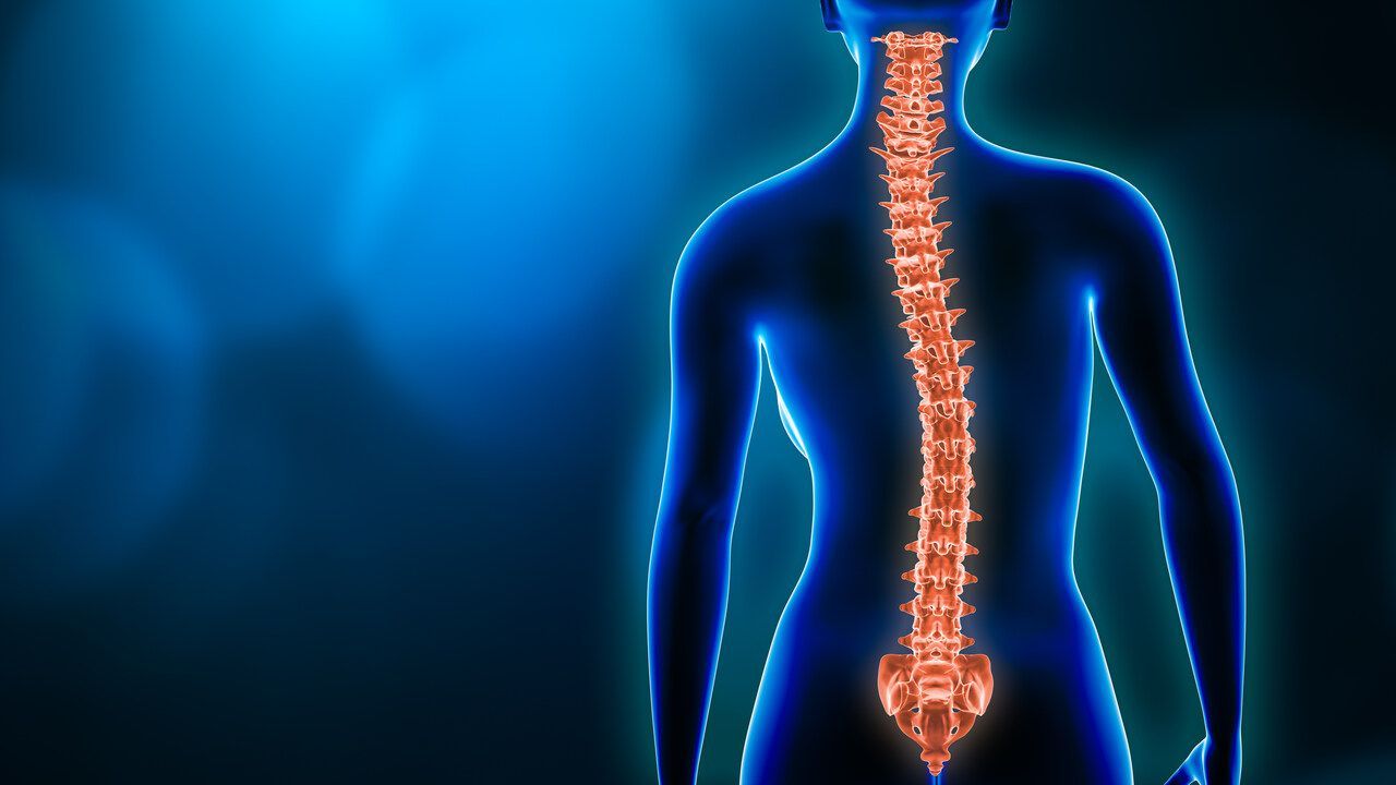 physiotherapy for scoliosis toronto downtown