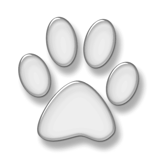 Oklahoma French Bulldogs