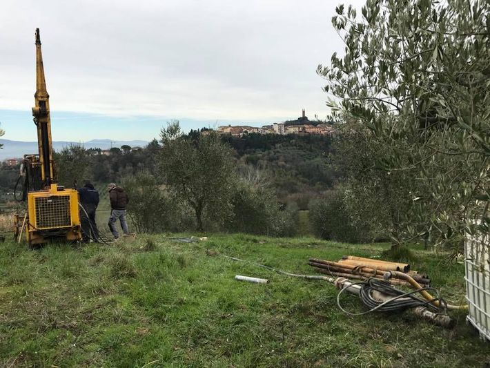 servizi eseguiti dall'azienda