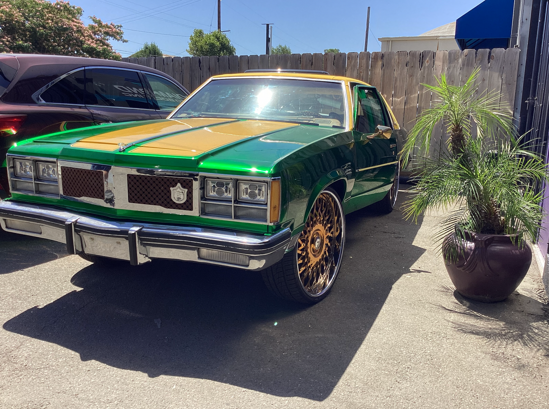 A green and gold car is parked next to a potted plant