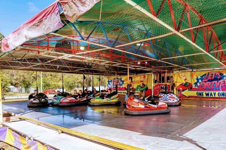 Bumper cars in a colourful, covered arena. People ride the cars, some are bumping each other. - Fun Time Amusements in Gracemere, QLD