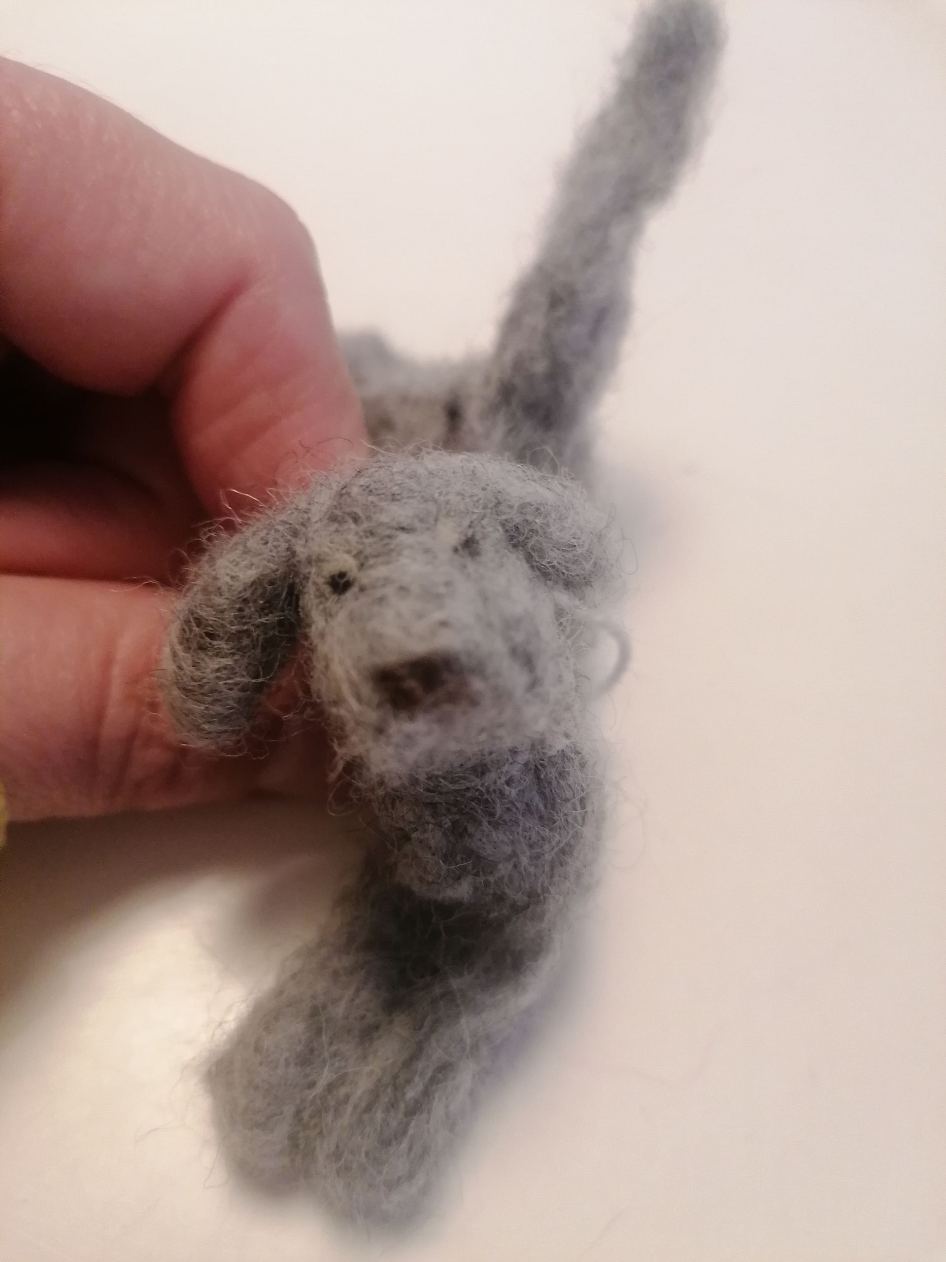 Een klein, grijs, pluizig wollen hondje. Weimaraner.