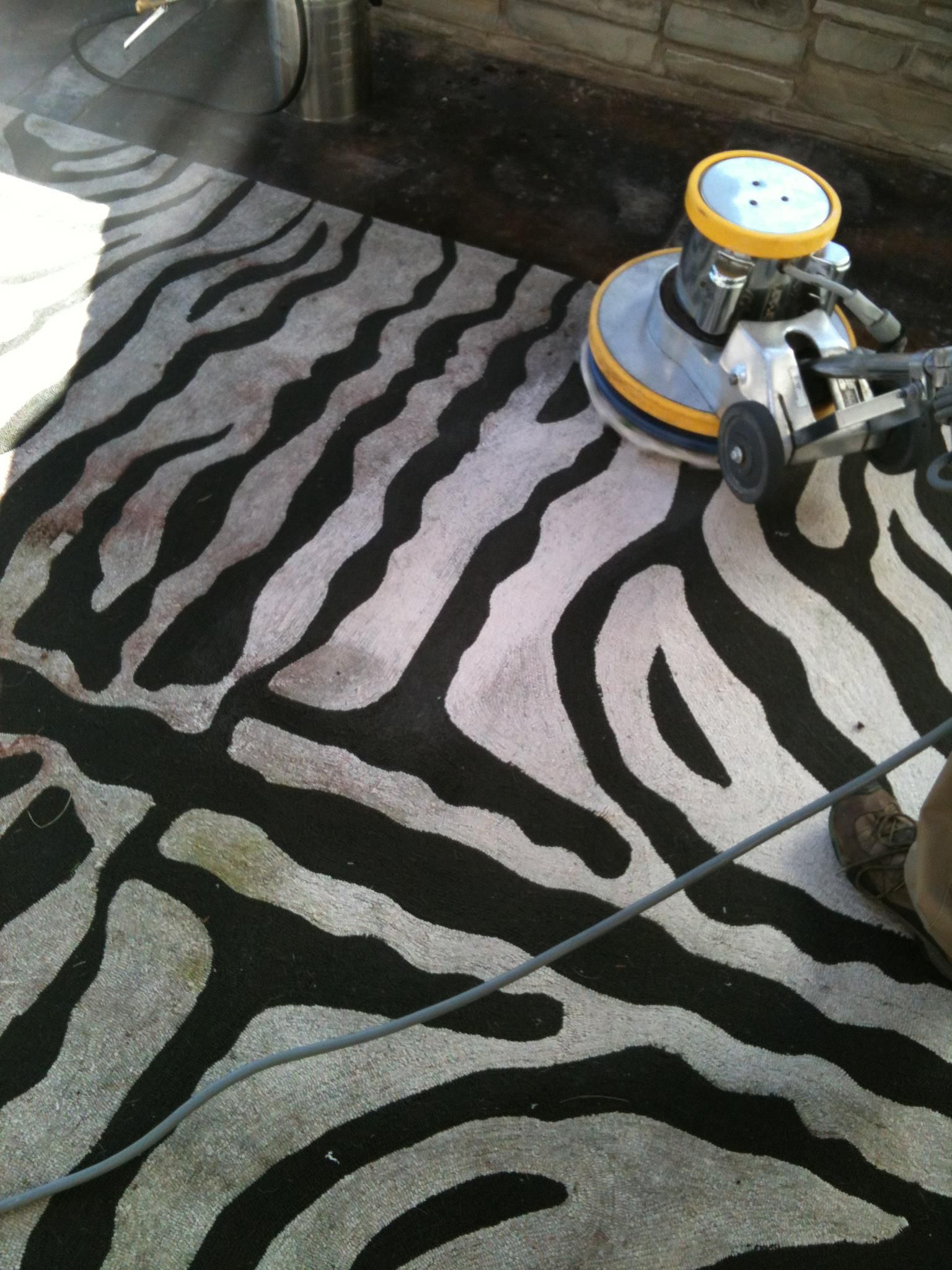 Carpet Master of Tulsa - A zebra print rug is being cleaned with a machine