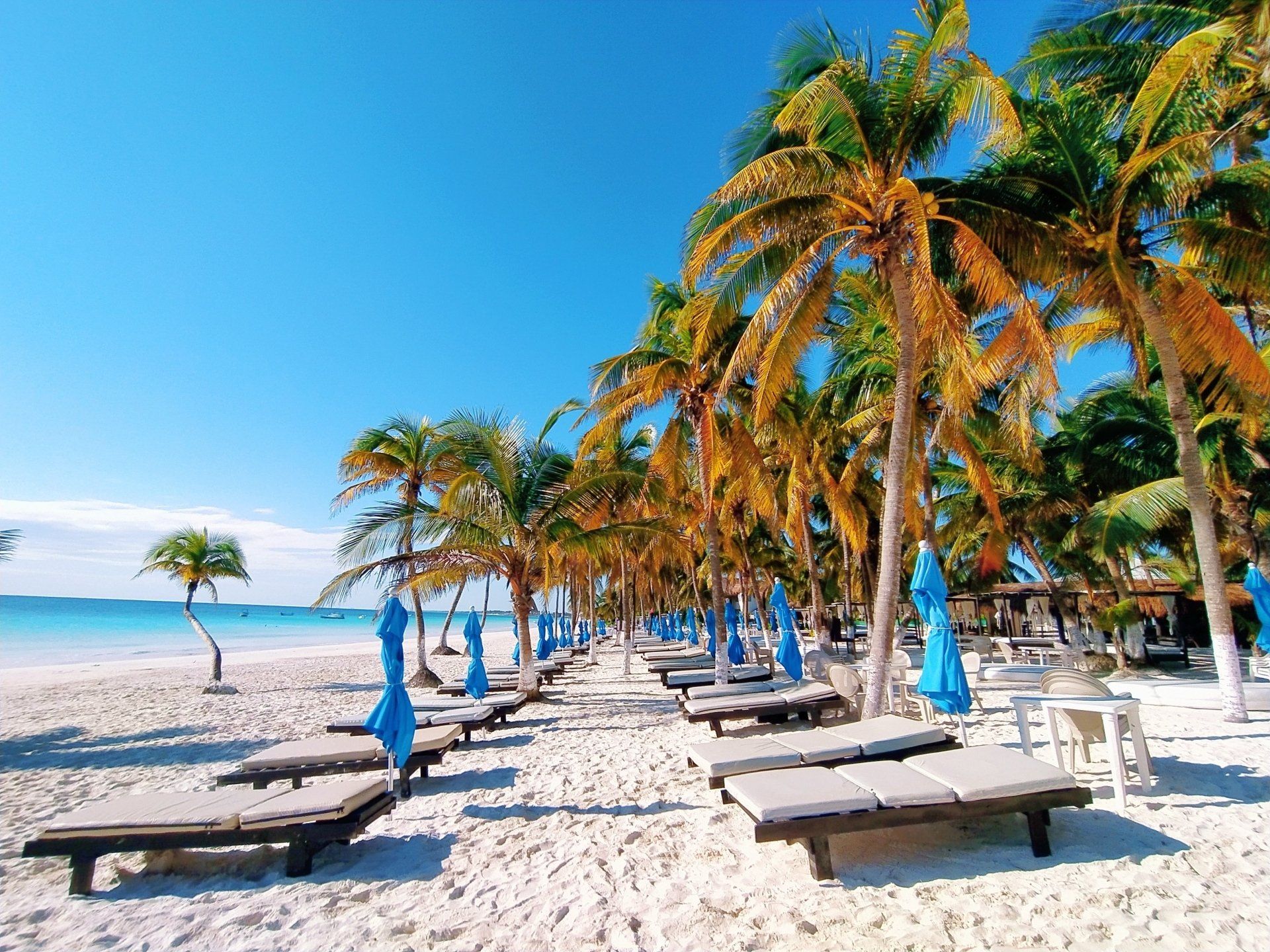 el paraiso beach tulum