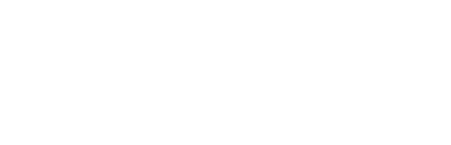 hotel paraiso logotipo