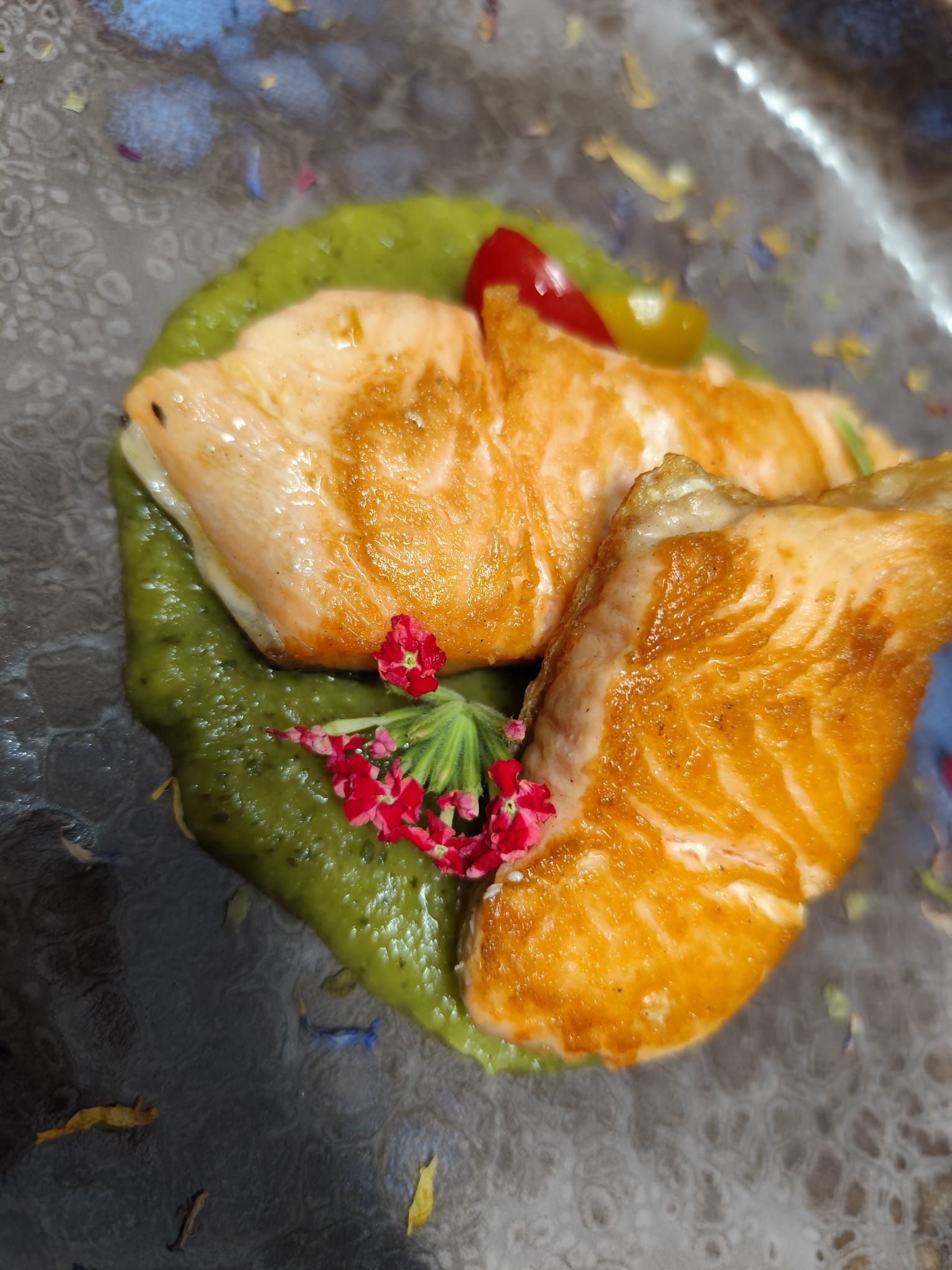 Salmone scottato in padella su una purea verde, guarnito con fiori rossi su un piatto blu scuro.