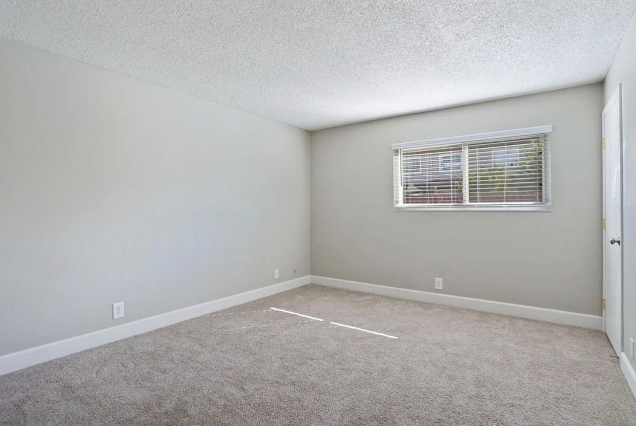 Empty carpeted bedroom with light gray walls and a small window with blinds