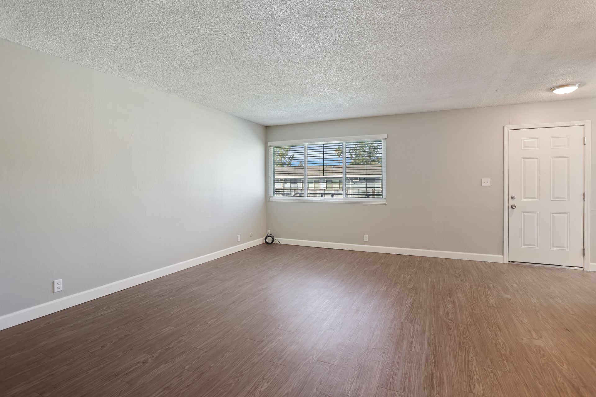 Empty room with gray walls, wood-look floor, window, and white door