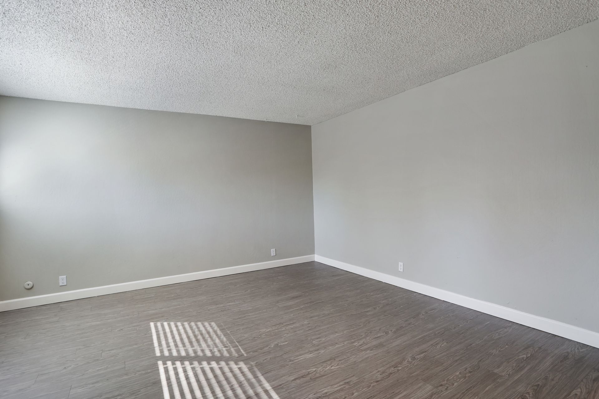 Empty gray living room with carpeted floor and sunlight streaming through blinds.