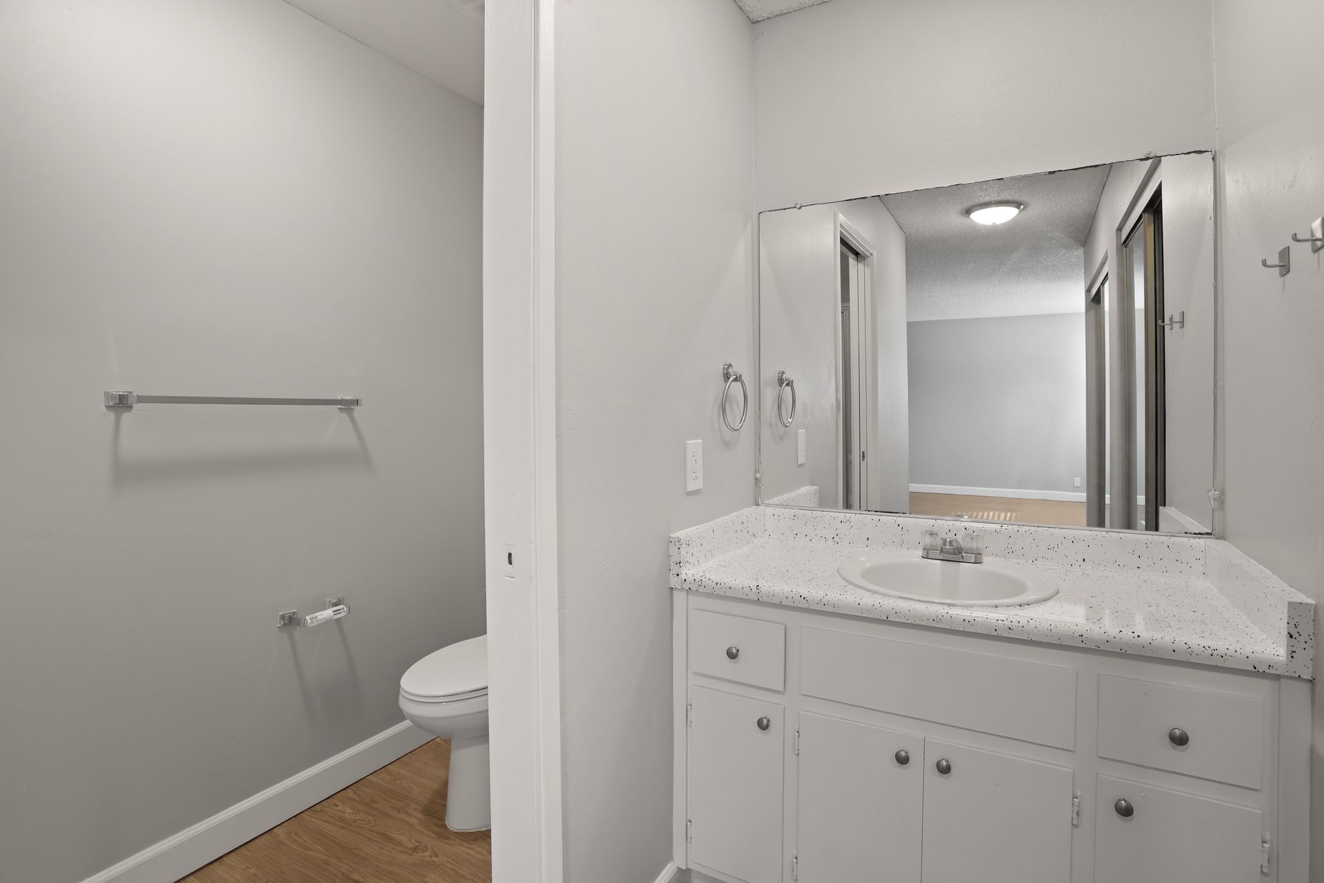 Bright bathroom with vanity, large mirror, and a toilet in a small adjacent alcove.