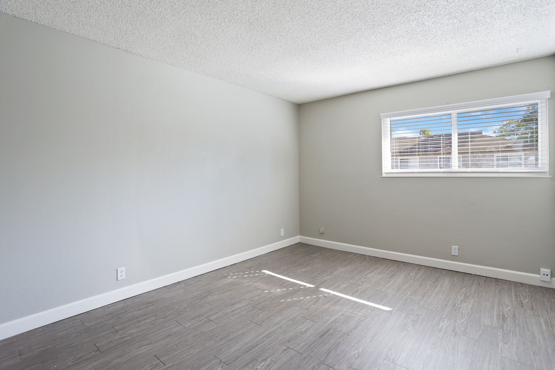 Empty gray bedroom with white trim and a window letting in sunlight