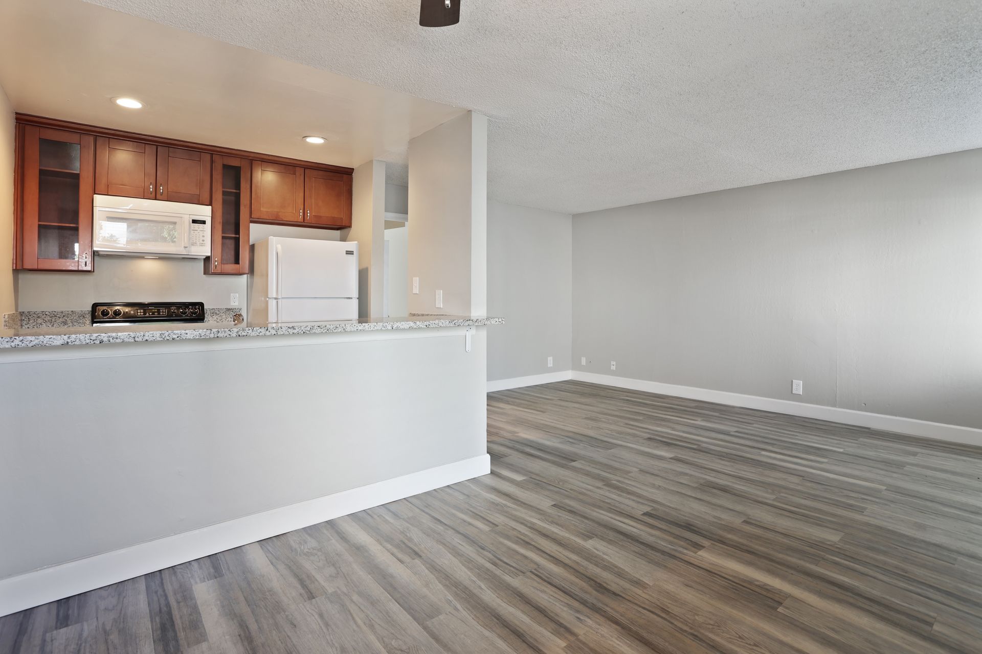 Empty apartment living area with open kitchen, gray walls, and wood-look flooring