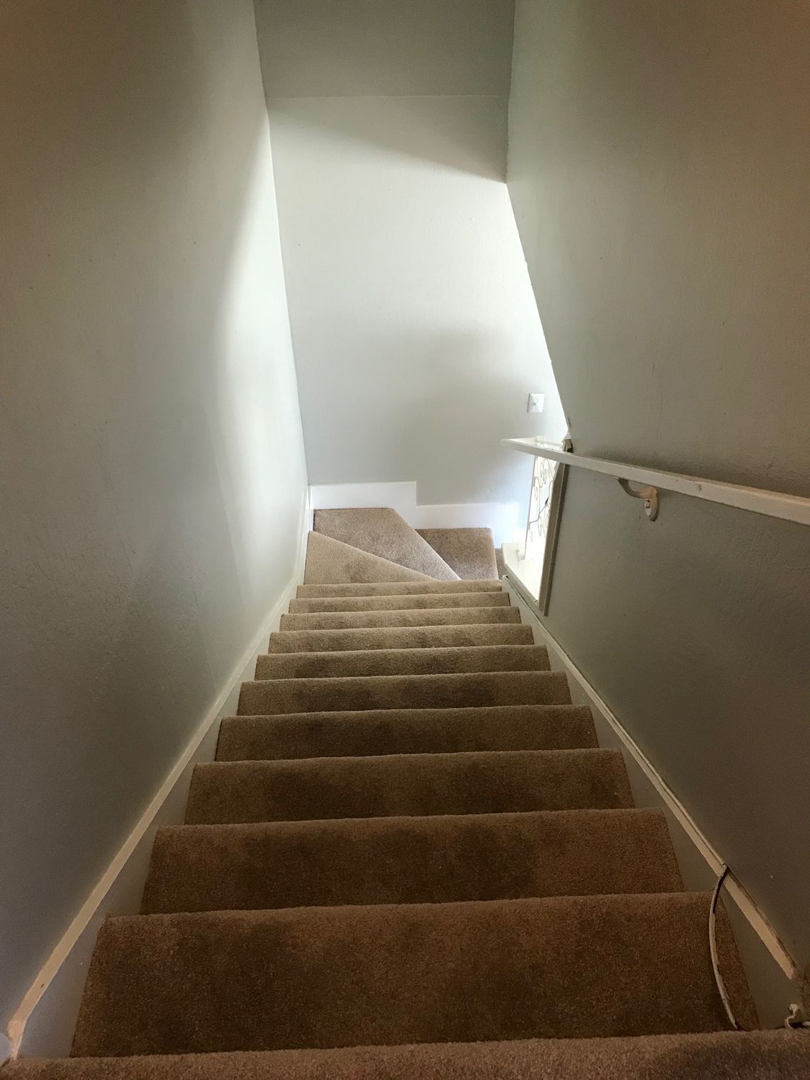 Carpeted indoor staircase with beige walls and a handrail, lit by daylight from above