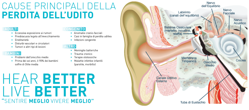 cause principali della perdita dell'udito
