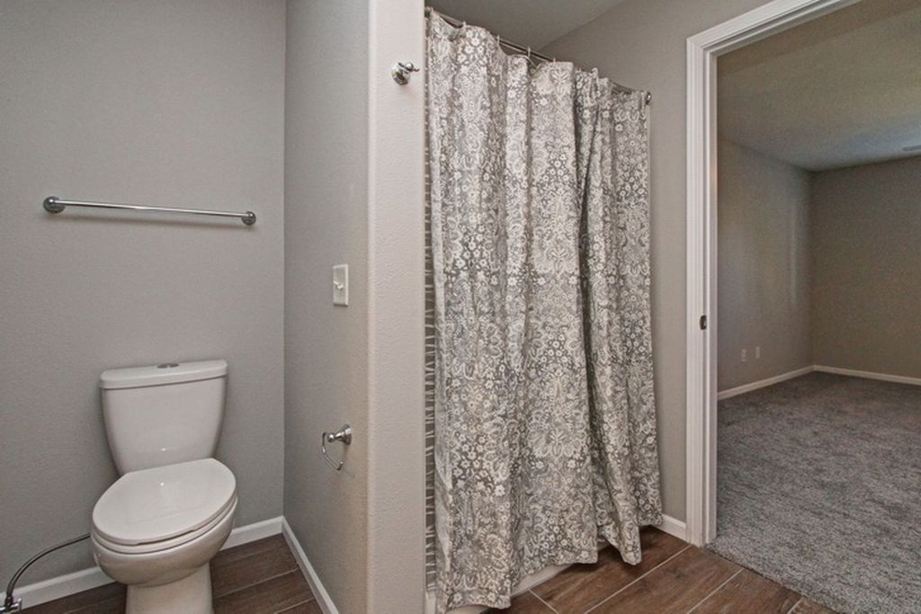 toilet with grey paint