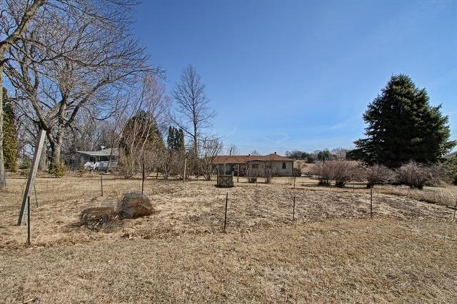 trees and house