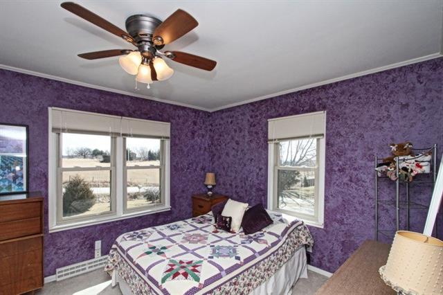 violet color room
