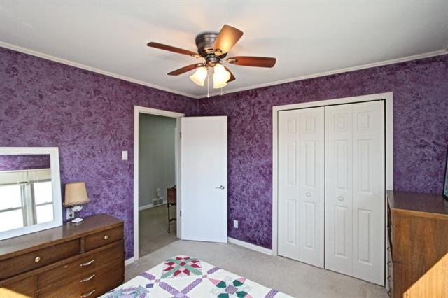 violet room with ceiling fan