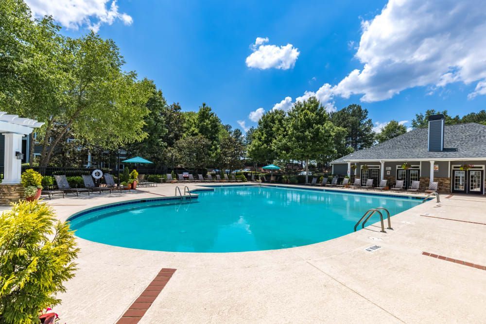 a large swimming pool surrounded by trees and chairs on a sunny day at Marquis on Cary Parkway in Morrisville, NC.