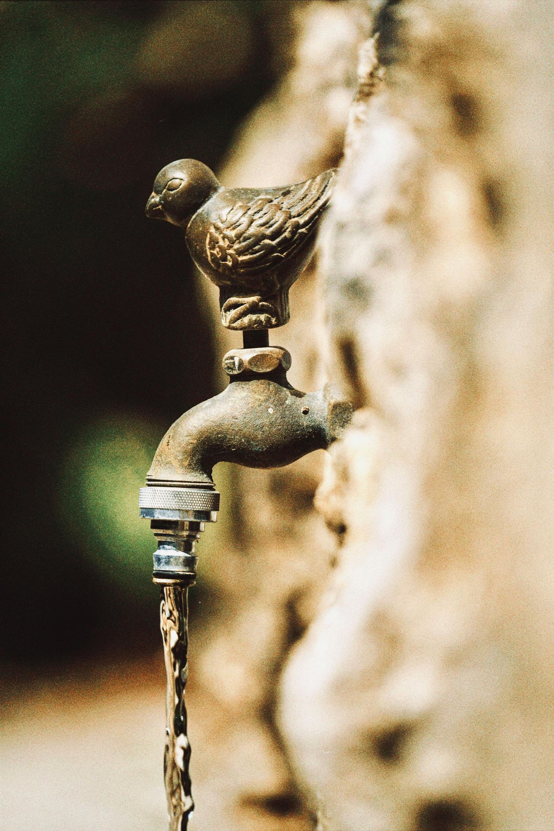 A bronze water tap shaped like a bird, mounted on a textured wall, with water flowing downwards in a steady stream.