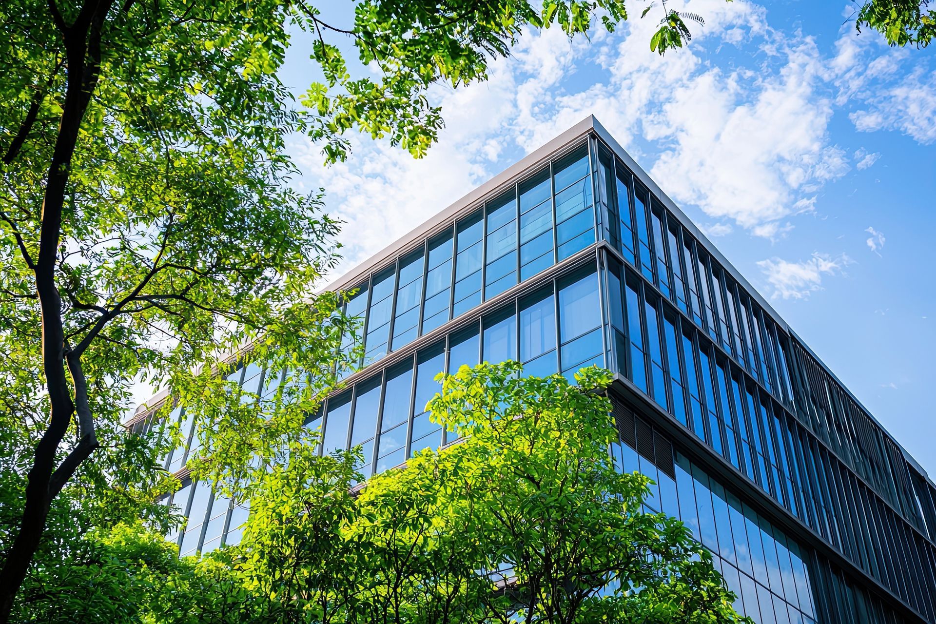 Modern glass office building framed by green trees under a blue sky