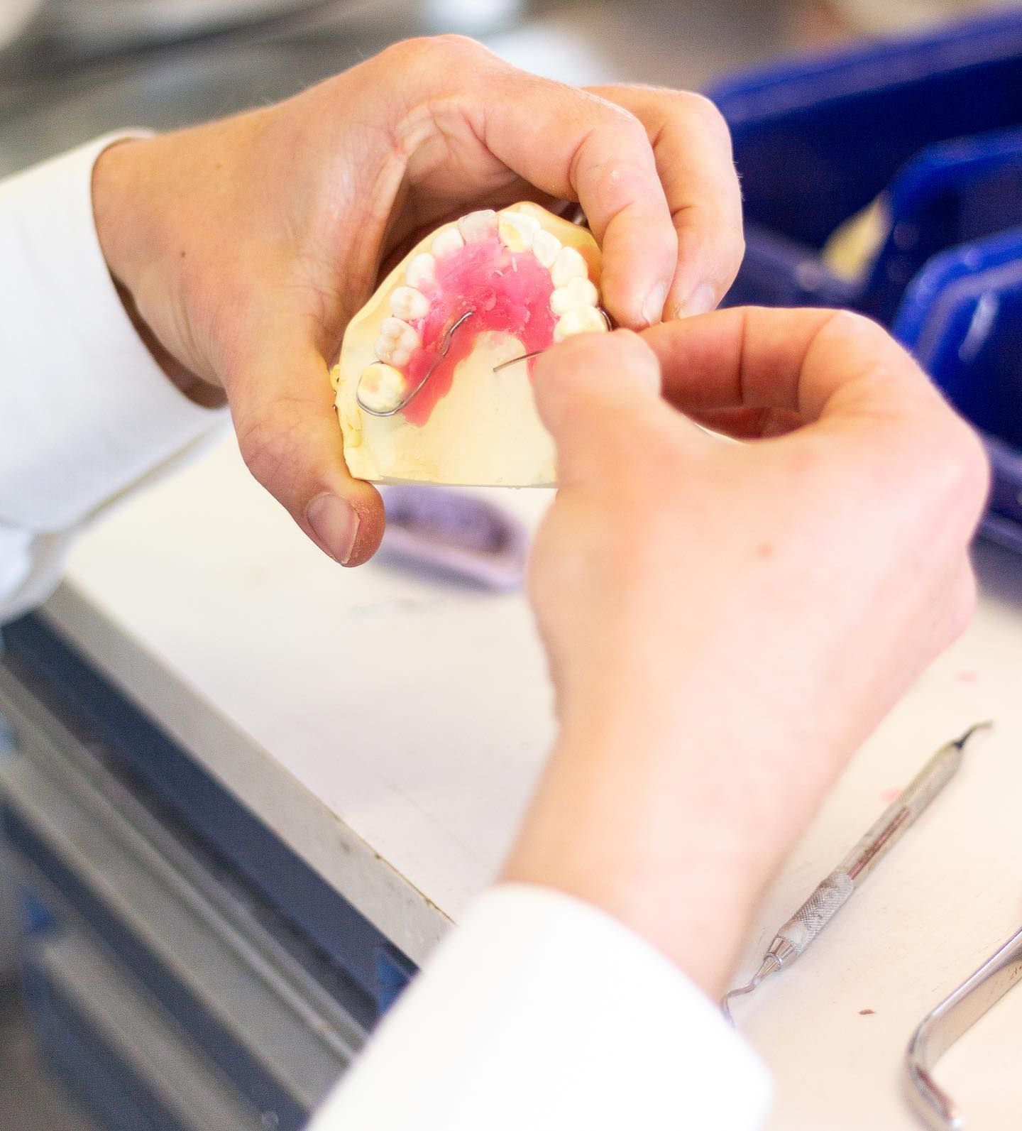 Dentist Creating A Denture — Jaw Gear Dental Prosthetics in Bowral, NSW