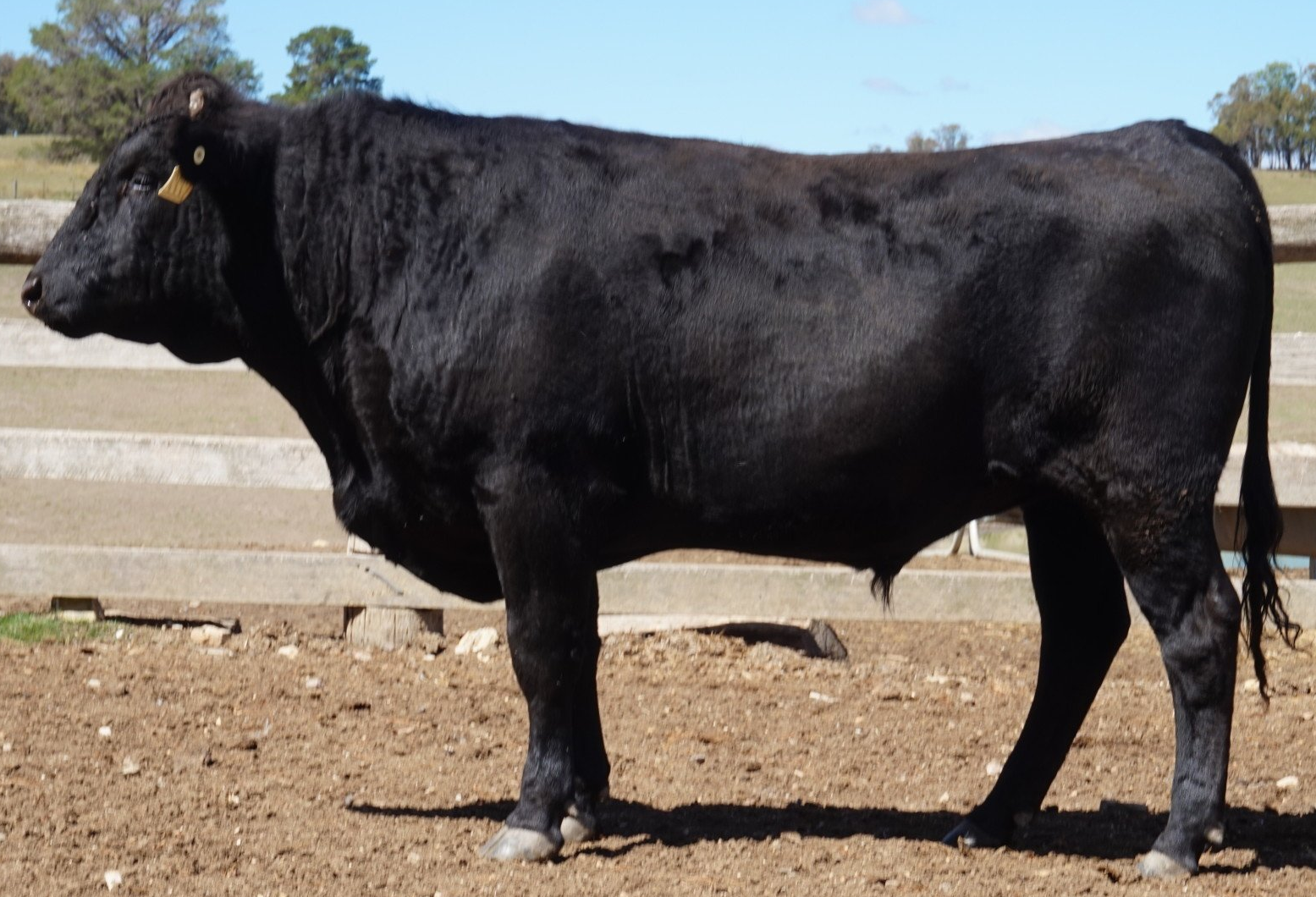 Learn more about what is for sale.