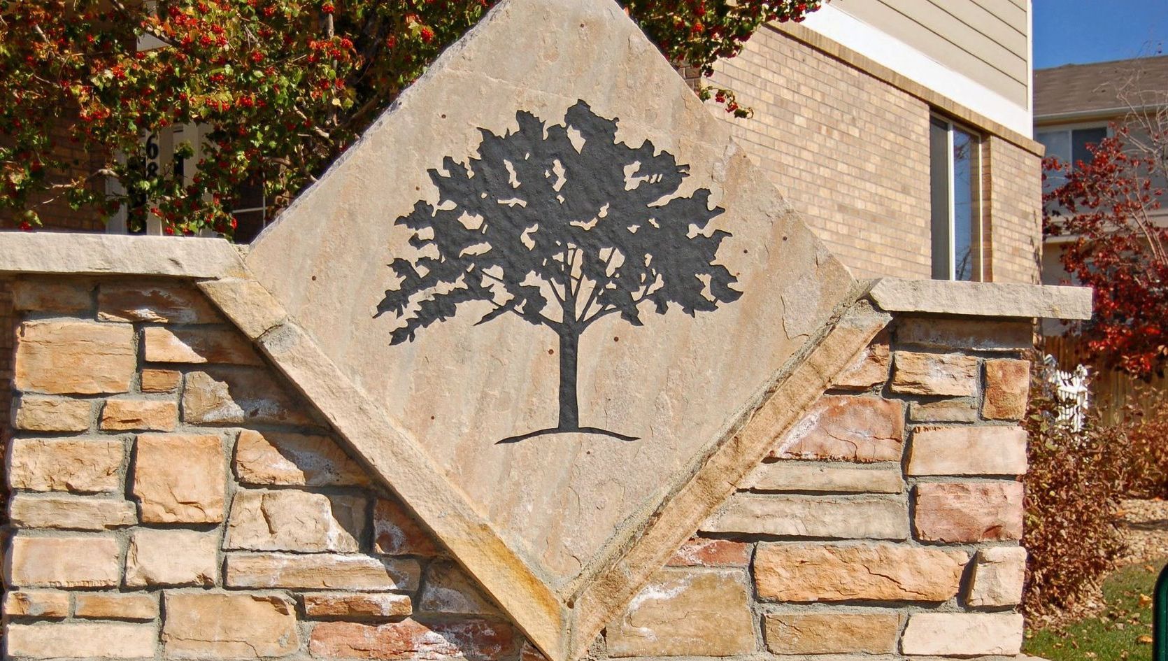 A stone wall with a tree on it