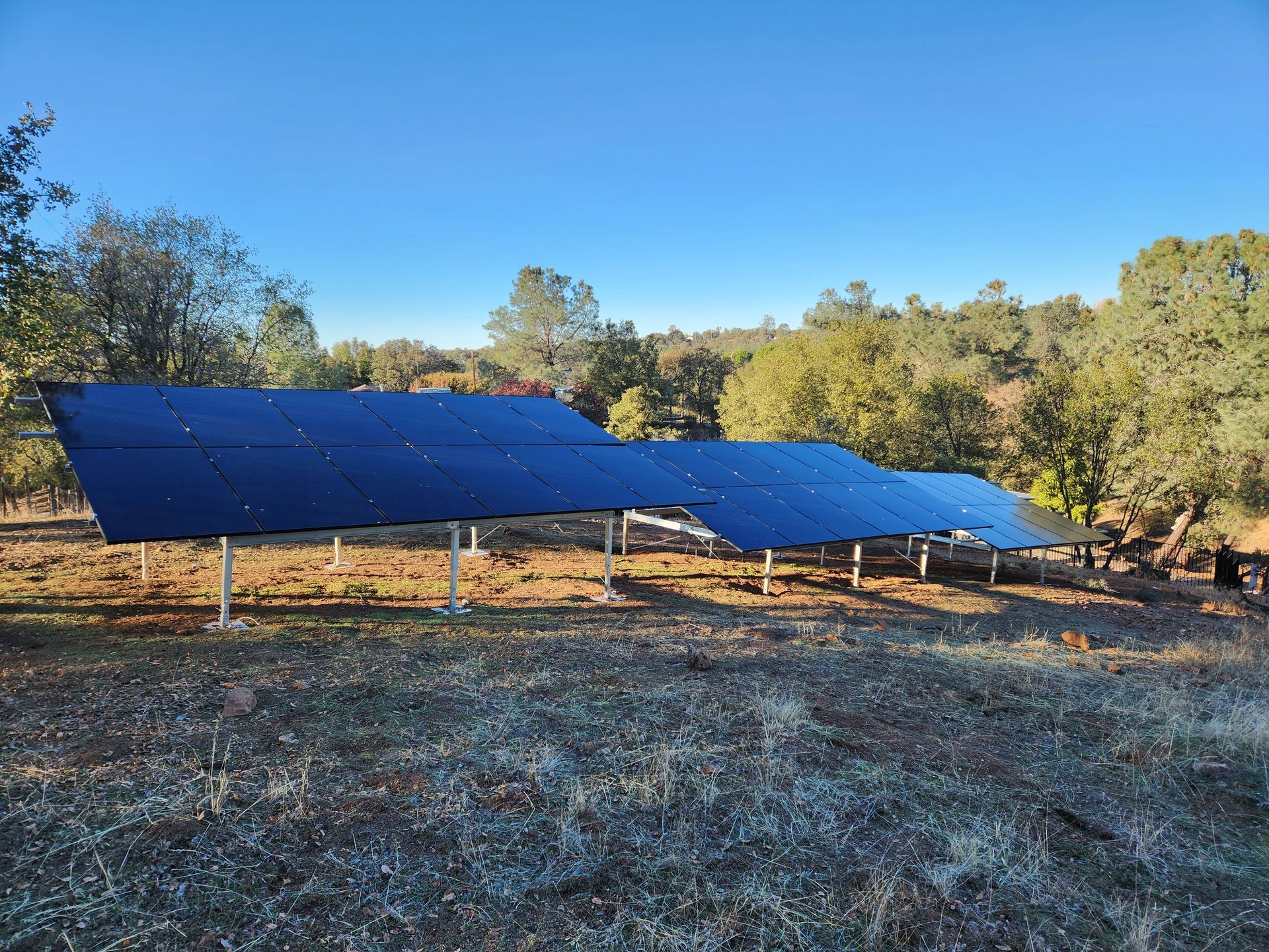 A row of solar panels in a field with trees in the background.