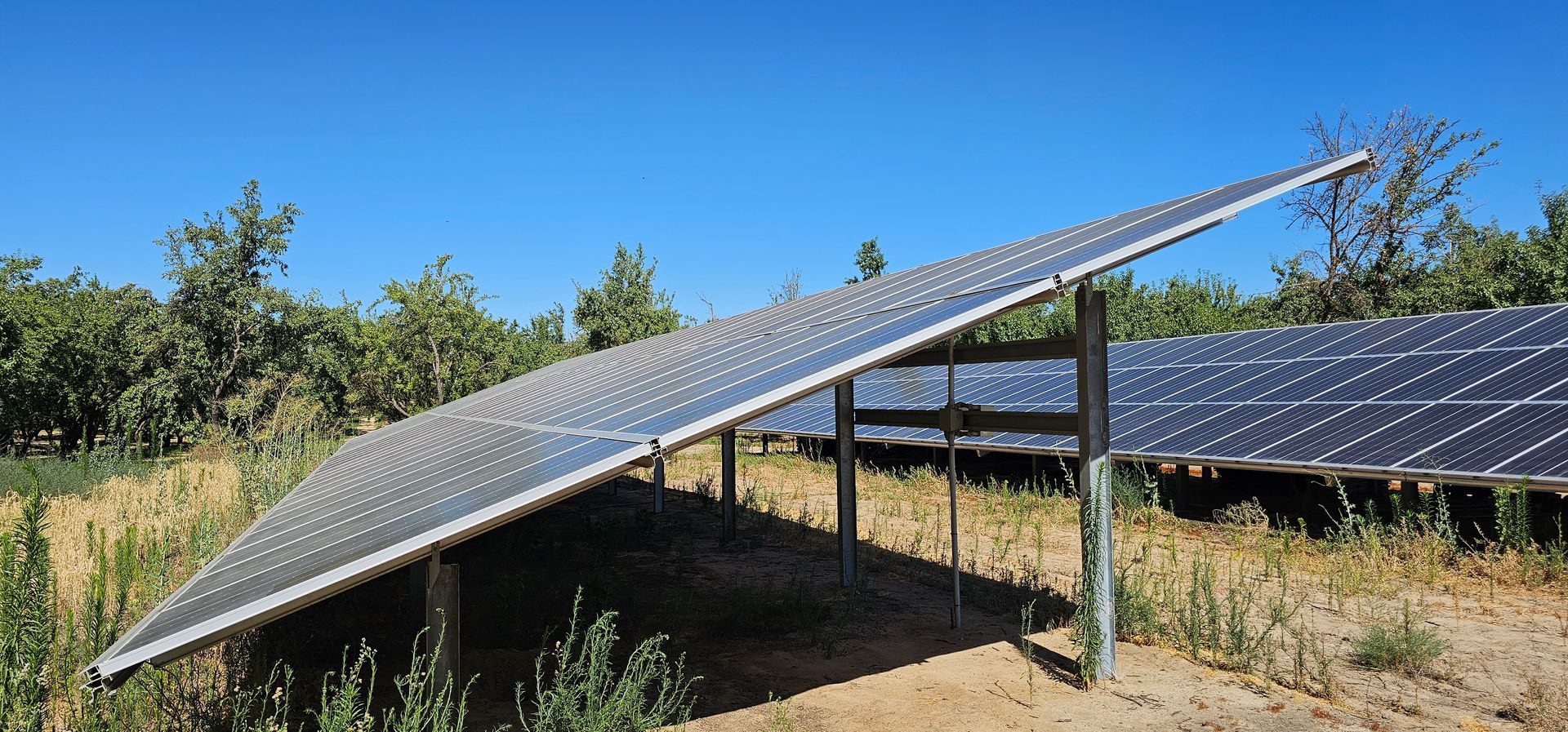 A row of solar panels in a field with trees in the background