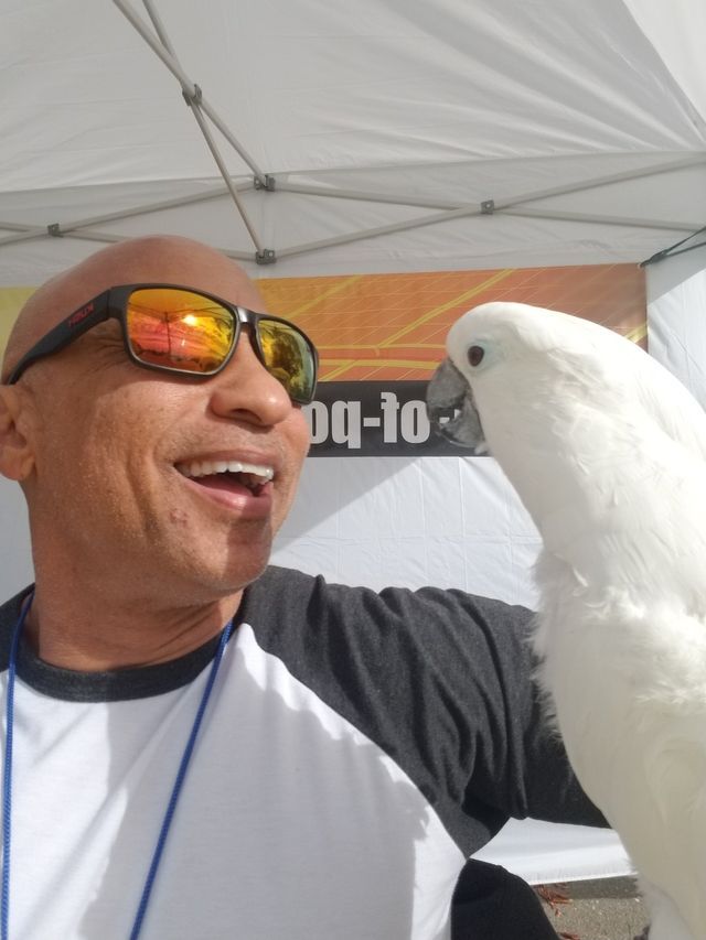 A bald man wearing sunglasses is holding a white parrot