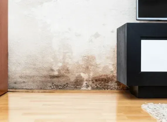 mold and moisture buildup on wall